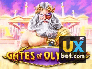 UXBET APP mobile iOS Android - 187 mil downloads São Paulo Rio BH